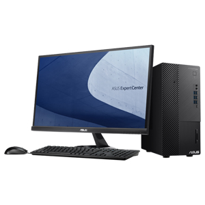 ASUS D700MDES - Core i5 (Win11 Pro)